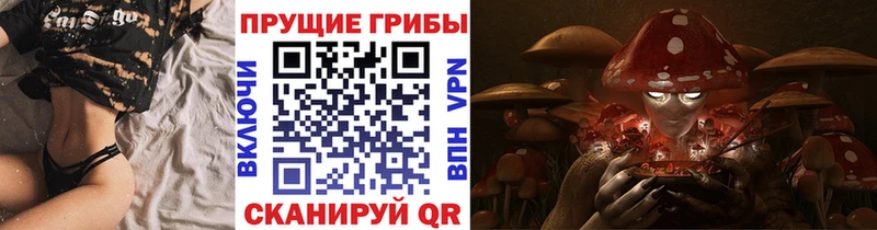 где продают   Магас  Псилоцибиновые грибы Cubensis 